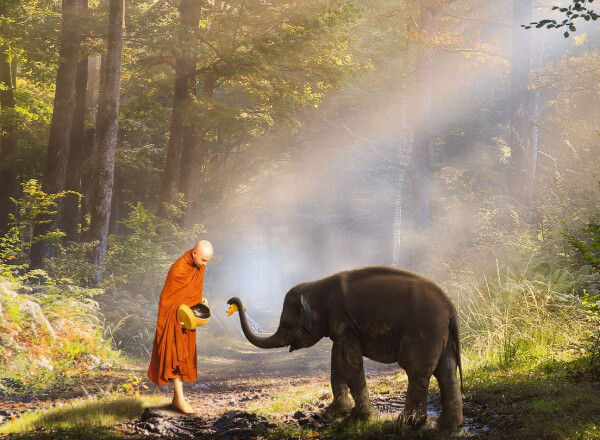 theravada-buddhism-5976737_1920